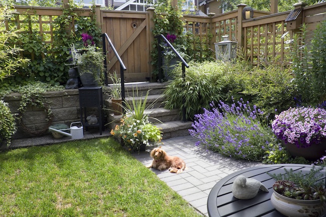 Big Landscaping Ideas for Small Backyards