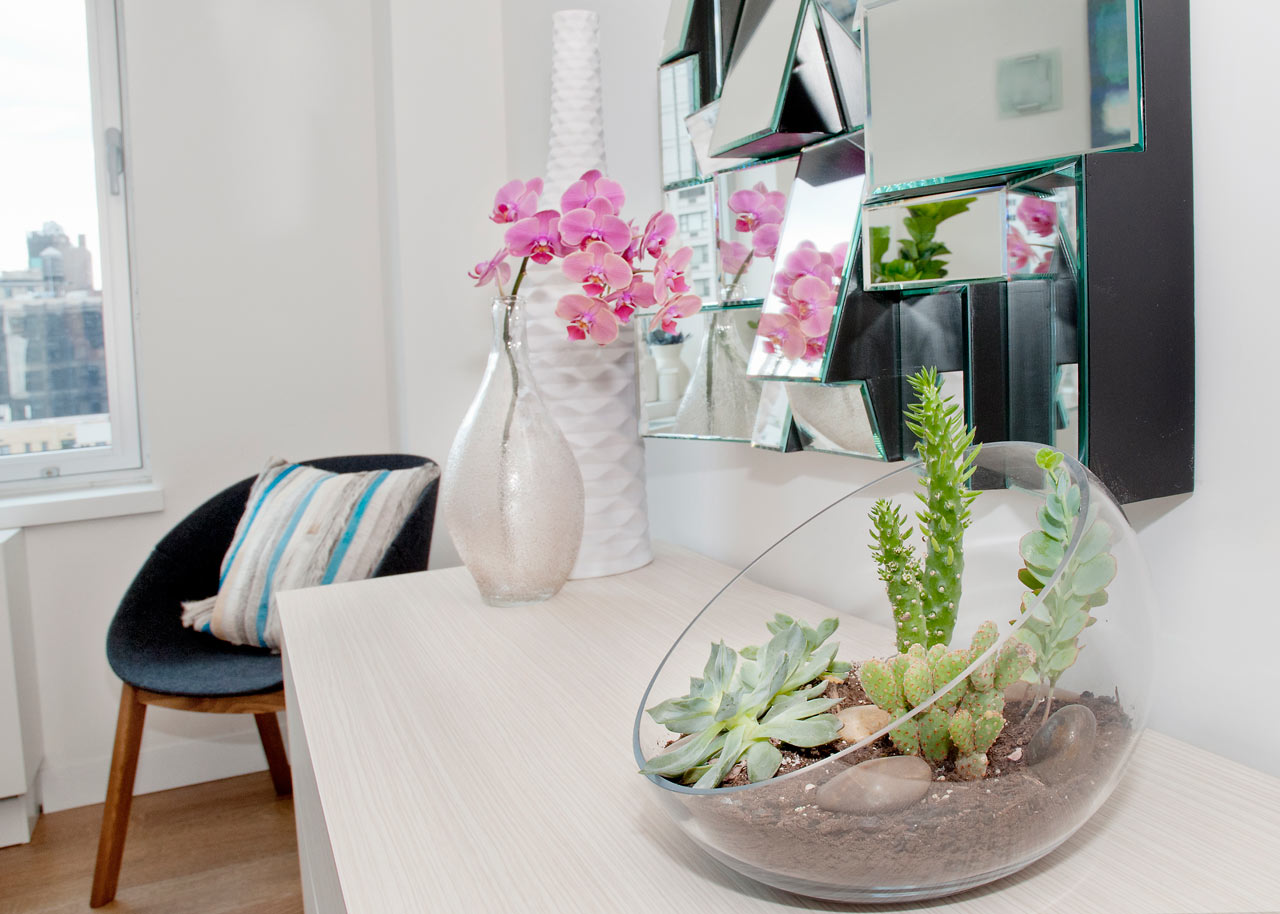 How to Use Plants in Modern Interior Design