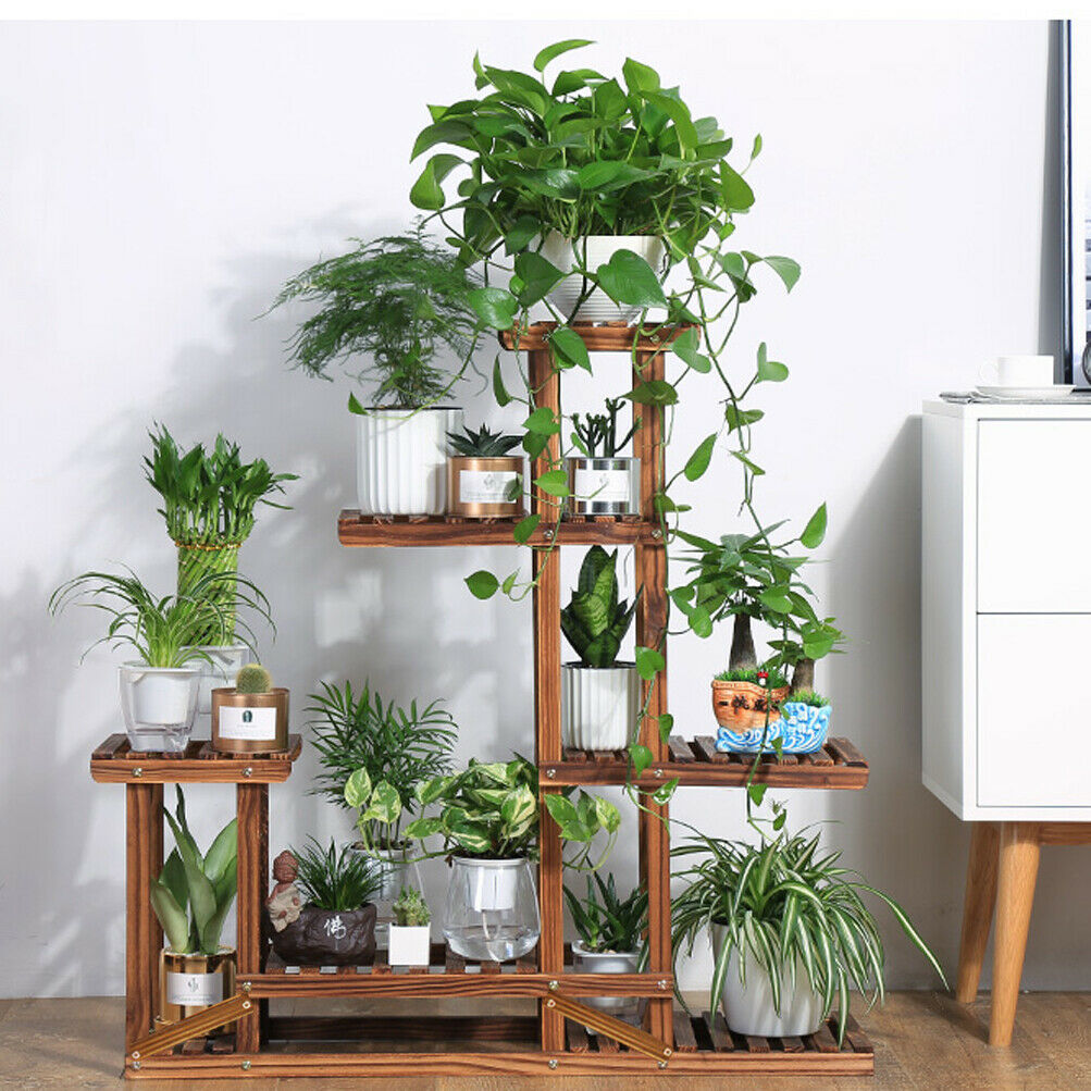Different Wooden Plant Stands