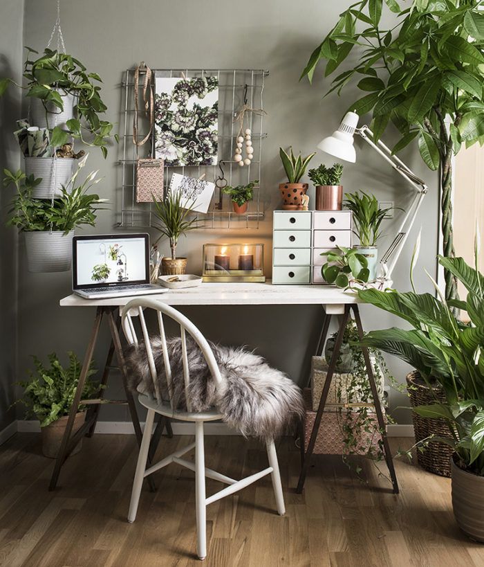 Make Your Working Space Green