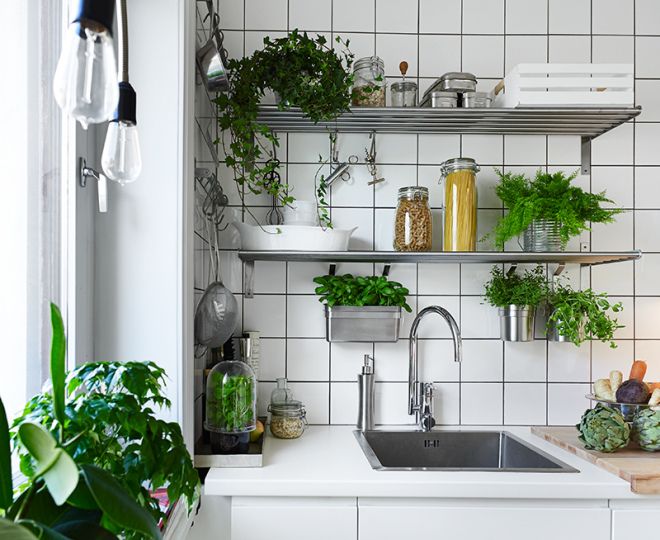 How to Add Plants to Your Kitchen
